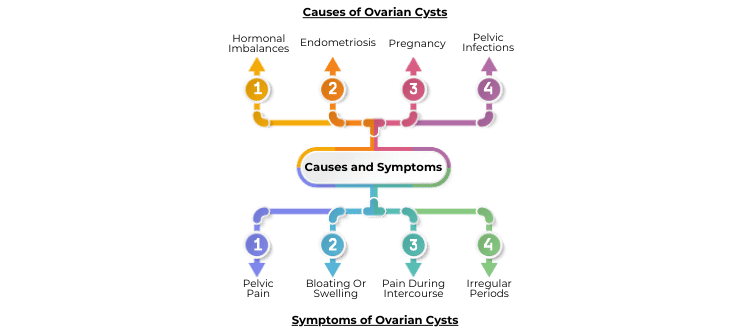 Causes and Symptoms of Ovarian Cysts