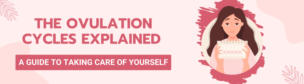 The Ovulation Cycles Explained: A Guide to Taking Care of Yourself