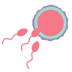 The Role of Sperm in IVF