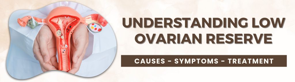 Understanding Low Ovarian Reserve: Causes, Symptoms, and Treatment Options