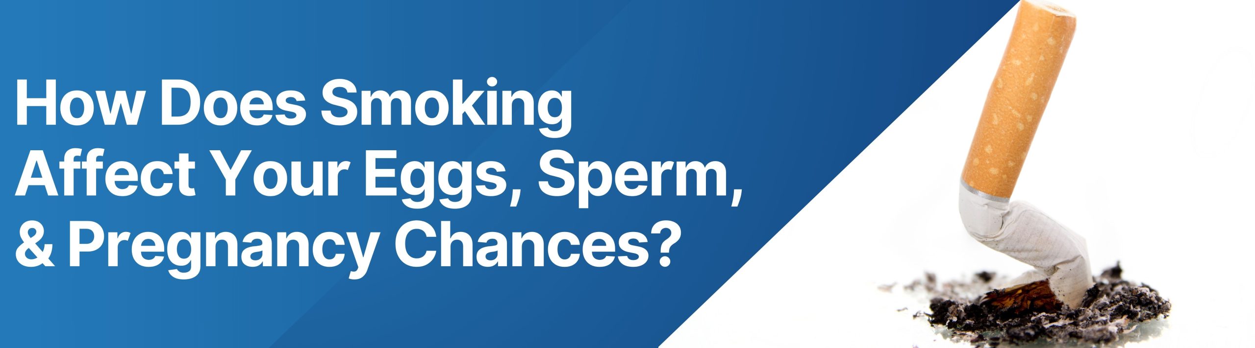 How Does Smoking Affect Your Eggs, Sperm, & Pregnancy Chances?