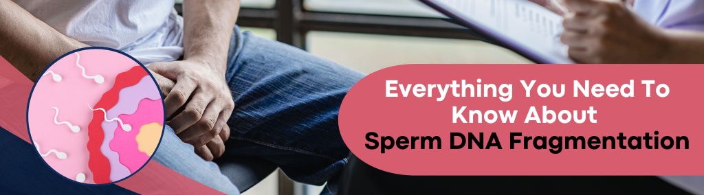 Everything You Need To Know About Sperm DNA Fragmentation